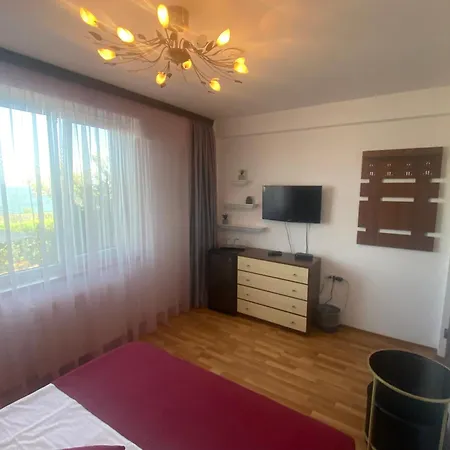 Maison d'hôtes Andreea Eforie Nord