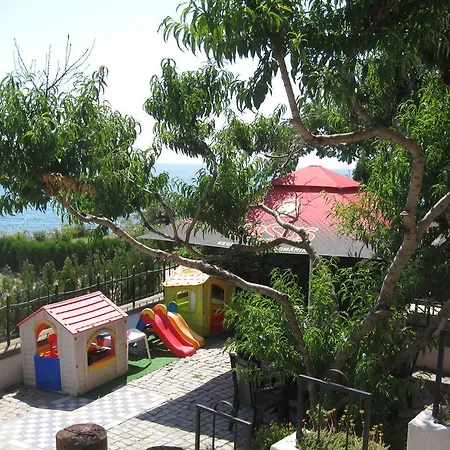 Guest house Andreea 2*
