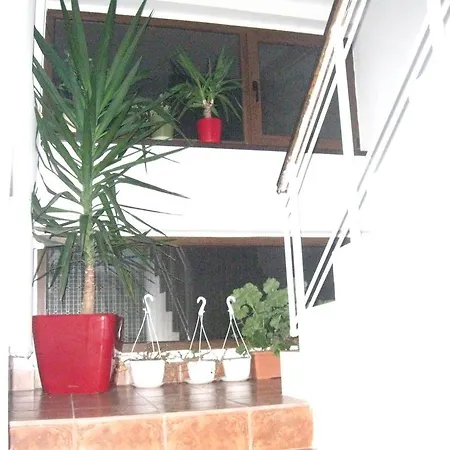 Guest house Andreea Eforie Nord
