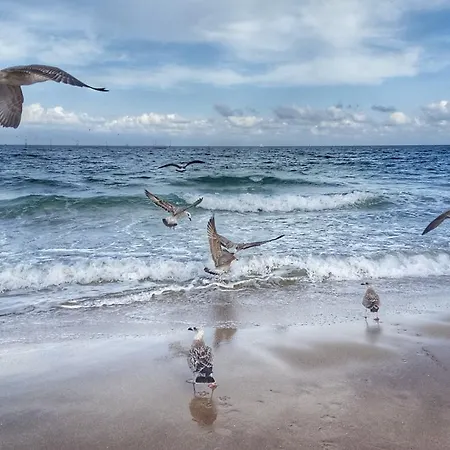 Andreea Maison d'hôtes