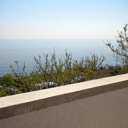 Andreea エフォリエ・ノルド