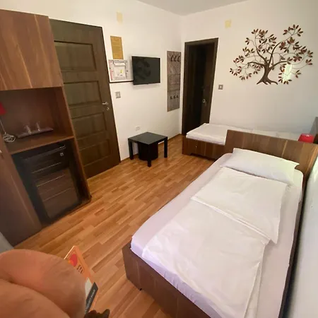 Andreea ゲストハウス 2*