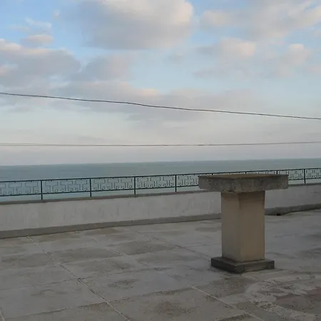 Andreea ゲストハウス