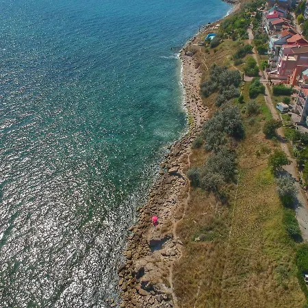 Andreea ゲストハウス