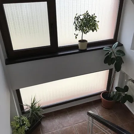 Гостевой дом Andreea