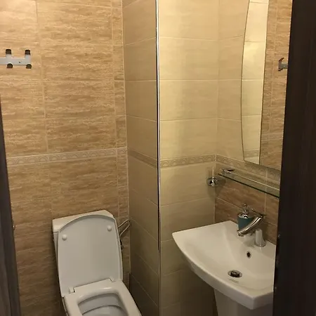 ゲストハウス Andreea 2*