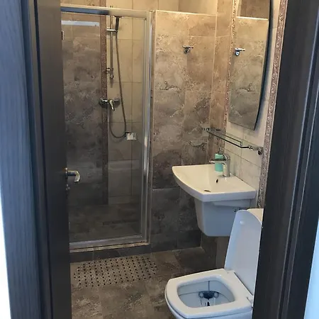 ゲストハウス Andreea